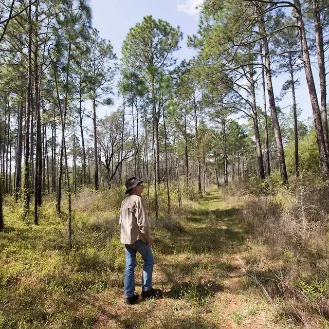 thumbnail for publication: Improving, Restoring, and Managing Natural Resources on Rural Properties in Florida: Sources of Financial Assistance